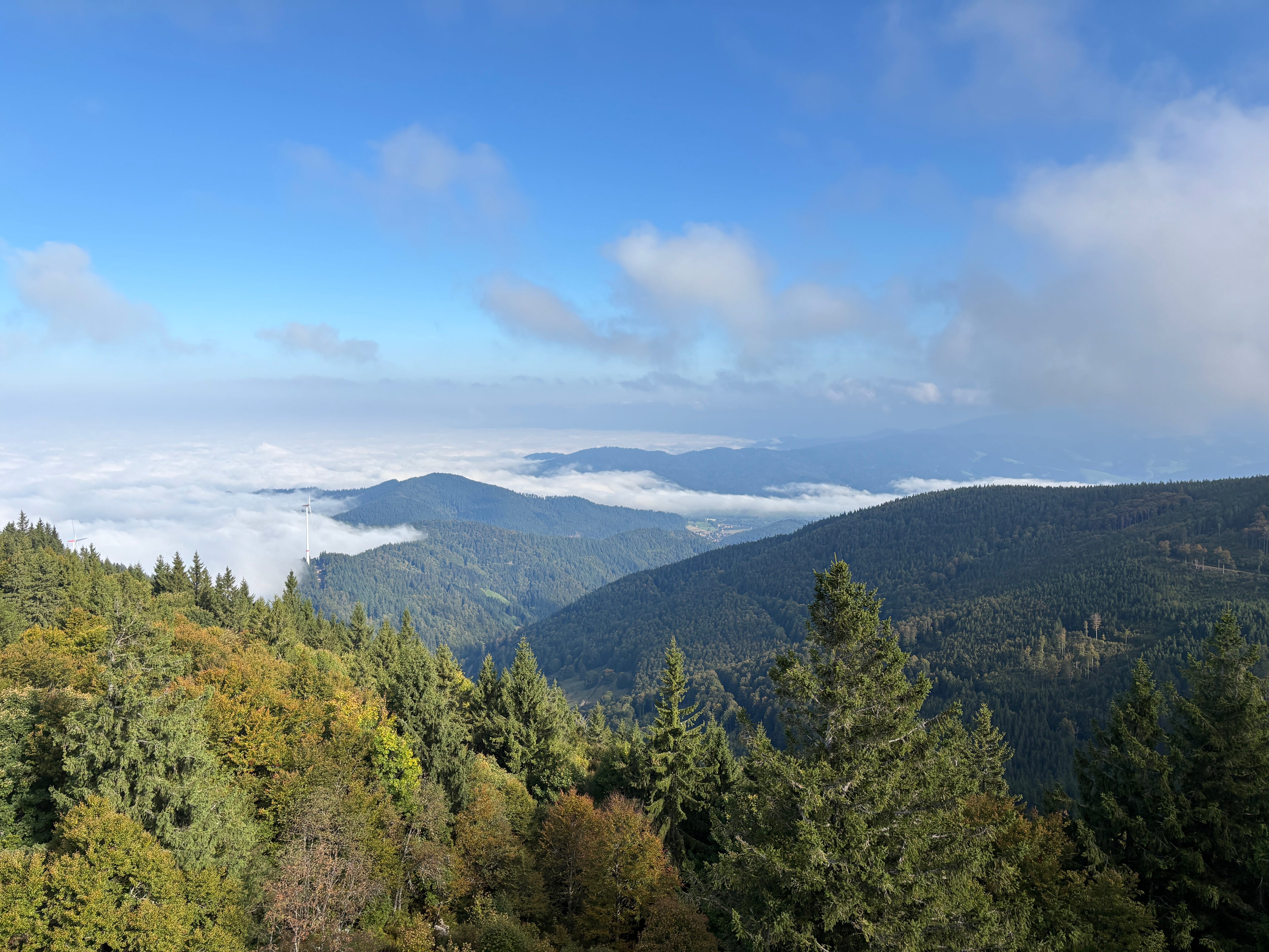 FAQ DochtFreunde im Südschwarzwald - Jetzt mehr erfahren