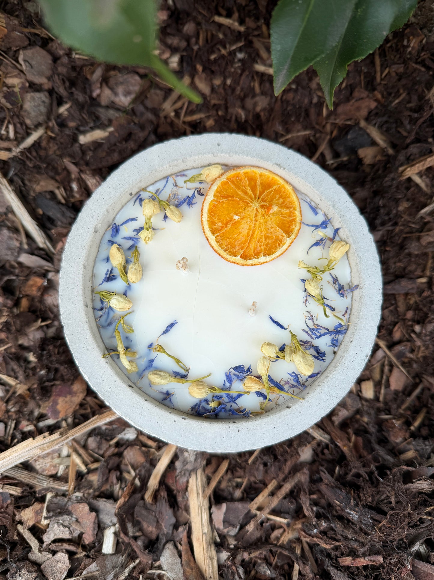 Betonkerze mit Deckel "Grey Secret" | 2-Docht & Orange | 12,5cm