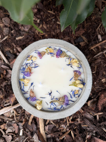 Betonkerze mit Deckel "Grey Dream" – 2-Docht & blaue Blüten | 12,5cm