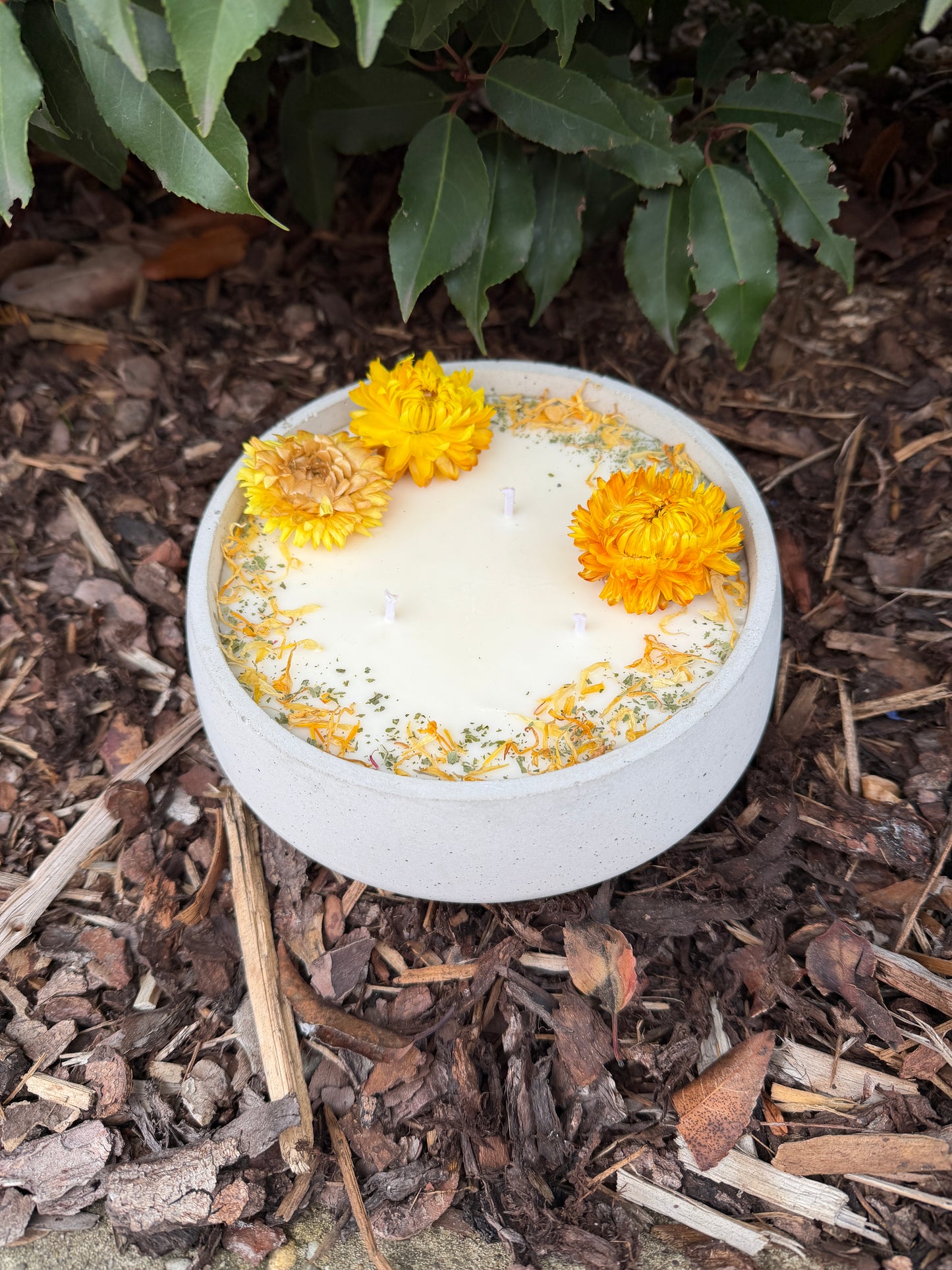 XL Betonkerze "Big Sunshine" – 3-Docht & gelbe Blüten | 18cm | Handgegossen