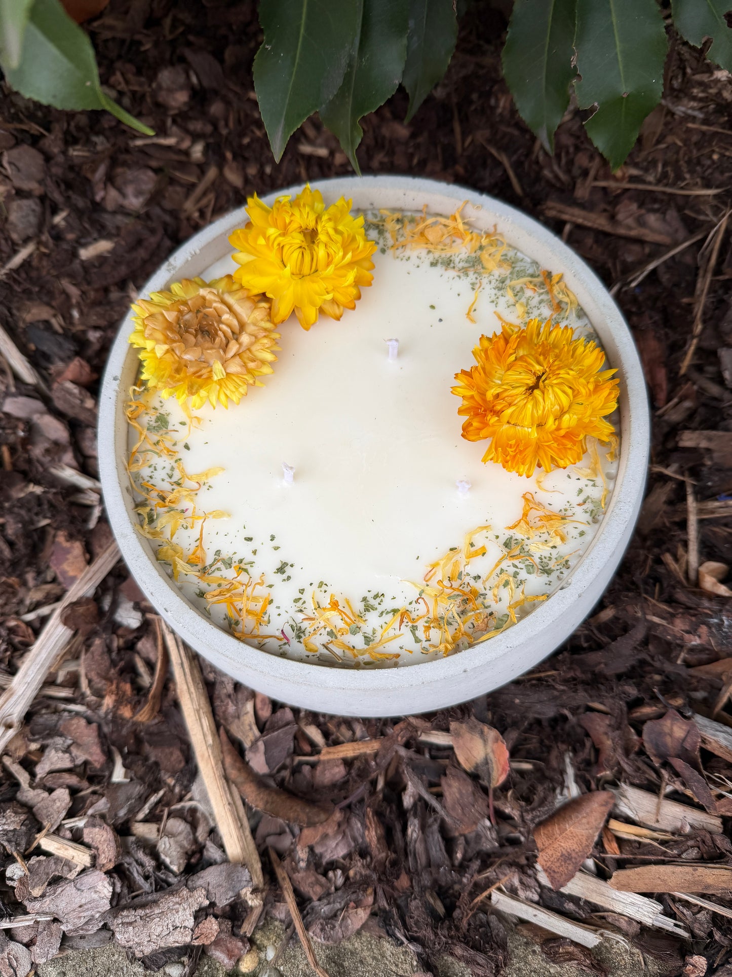 XL Betonkerze "Big Sunshine" – 3-Docht & gelbe Blüten | 18cm | Handgegossen