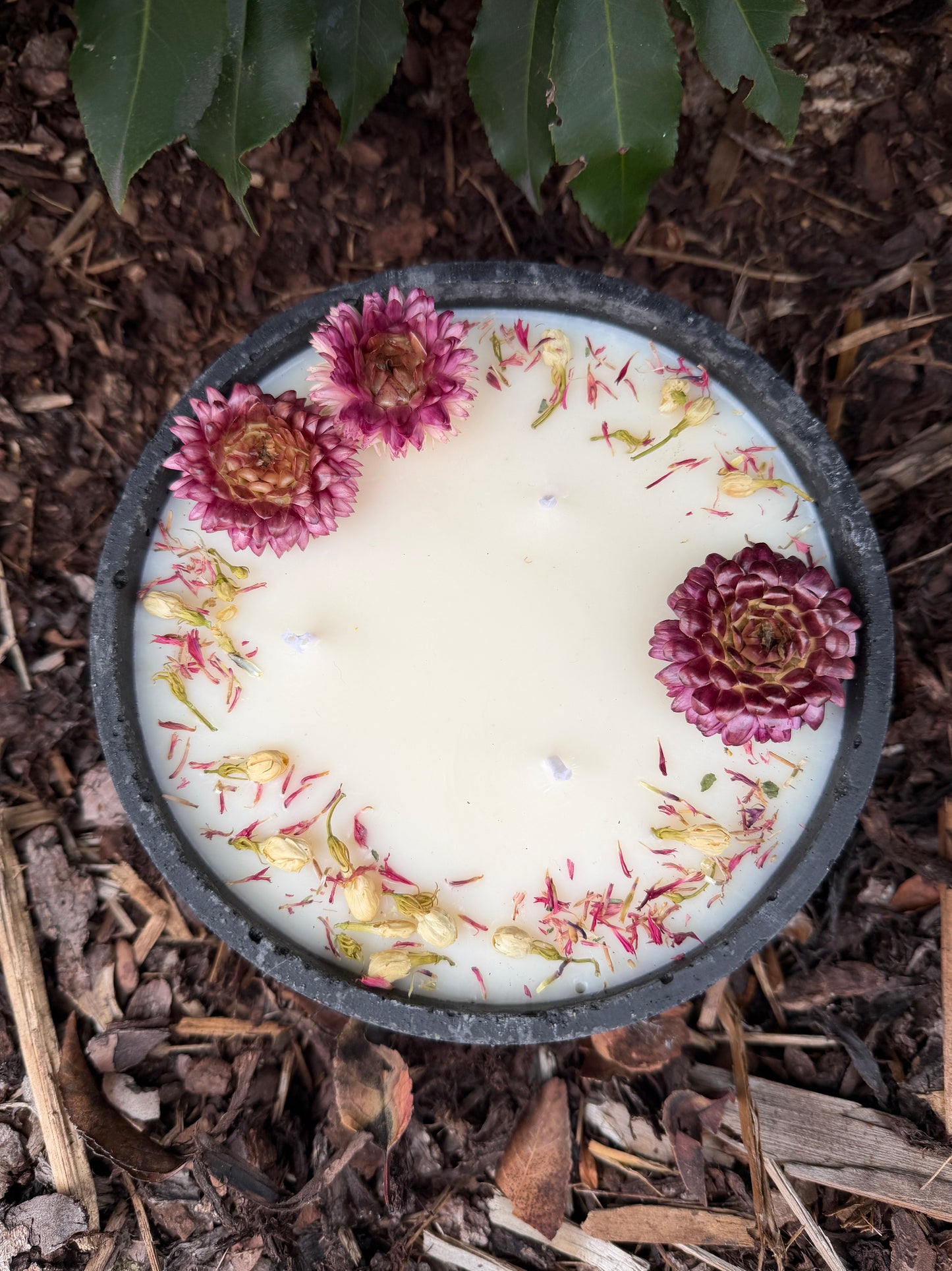 XL Betonkerze "Big Bloom" – 3-Docht & Blüten | 18cm | Handgegossen