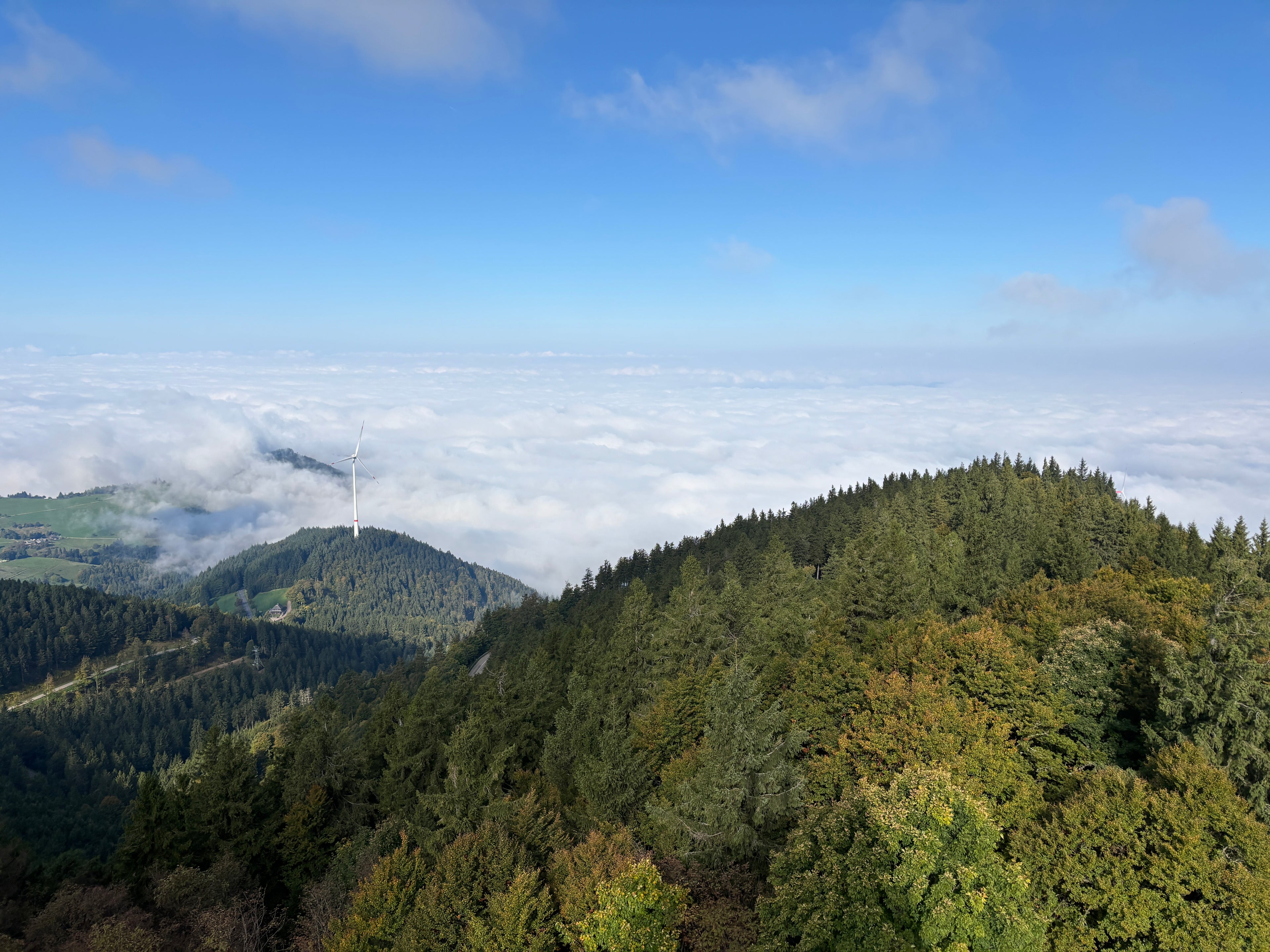 DochtFreunde im Südschwarzwald