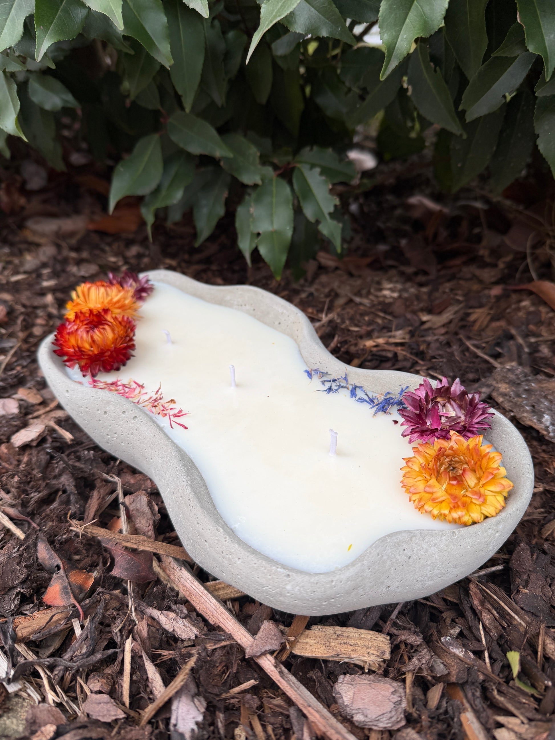 Design-Betonkerze "Grey Wave" in organischer Wellenform, 29,5cm lang. Hellgraue Betonschale gefüllt mit veganem Sojawachs und drei Baumwolldochten. Dekoriert als "Flower Edition" mit bunten Strohblumen in Orange und Rot sowie blauen Blütenblättern. Handgegossen im Schwarzwald.